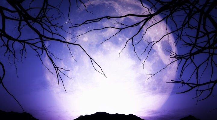 A purple night with a giant moon in the background and leafless trees.